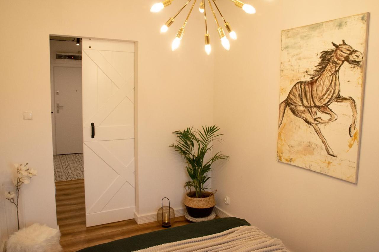 Apartament Wyspianski Sanok Extérieur photo