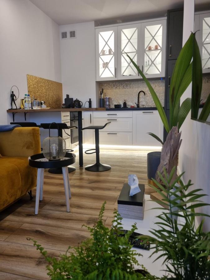 Apartament Wyspianski Sanok Extérieur photo